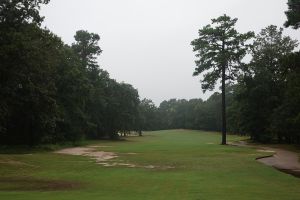 Pine Dunes 8th